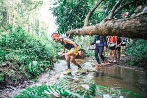 BIB: 
                            <button type="button" onclick="openModal(25478054)" class="btn btn-primary btn-sm float-right btn-popup" data-toggle="modal" data-target=".modal-high-quality">
                        <i class="fas fa-shopping-cart"></i> Add to Cart
                    </button>
                                            <button type="button" onclick="isThisMe(25478054, true)" class="btn btn-success btn-sm float-right btn-popup btn-isme hidden" data-toggle="tooltip" data-placement="bottom" title="นี่คือรูปของคุณใช่ไหม คลิกที่นี่เพื่อเอาเข้าอัลบั้ม">
                        <i class="fas fa-plus"></i> Add to album
                    </button>
                    <button type="button" onclick="isThisMe(25478054, false)" class="btn btn-warning btn-sm float-right btn-popup btn-isnotme hidden">
                        <i class="fas fa-ban"></i> Remove from album
                    </button>